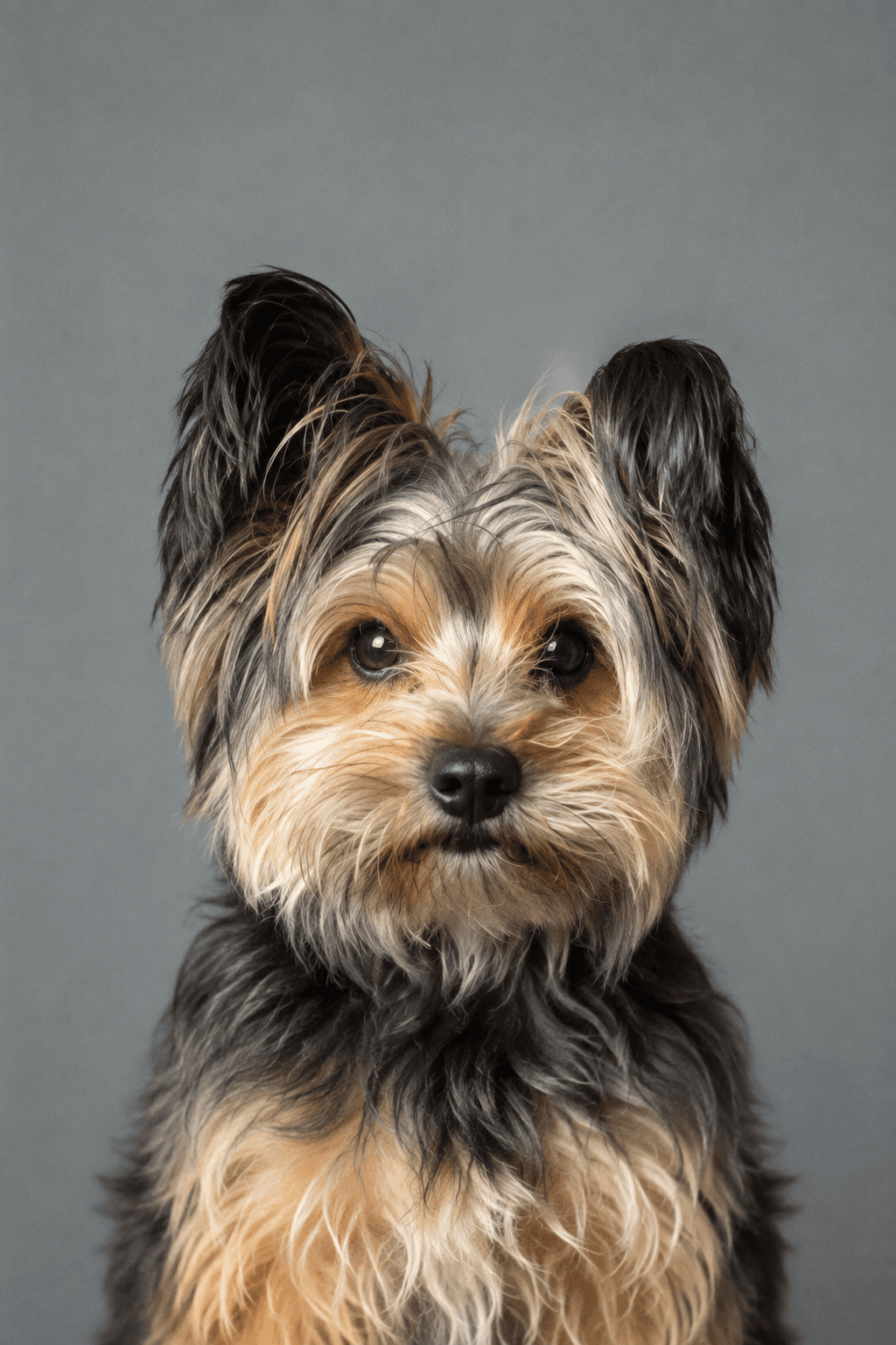Portrait of Woodie